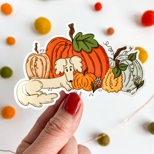 Pumpkin Patch Sticker